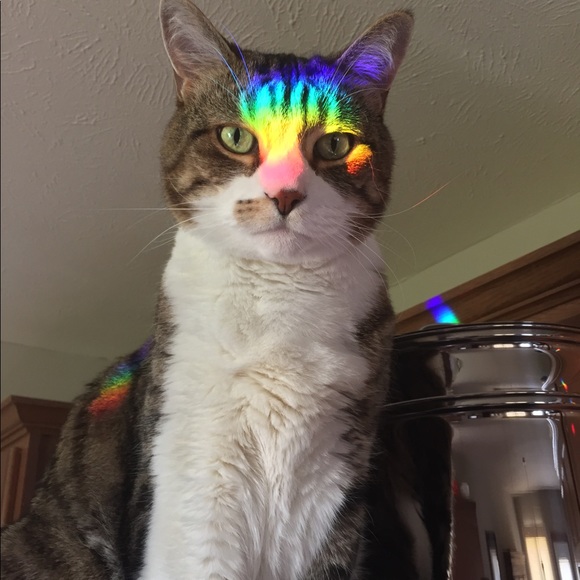 Meet your Posher, Kara - Picture 6 of 13